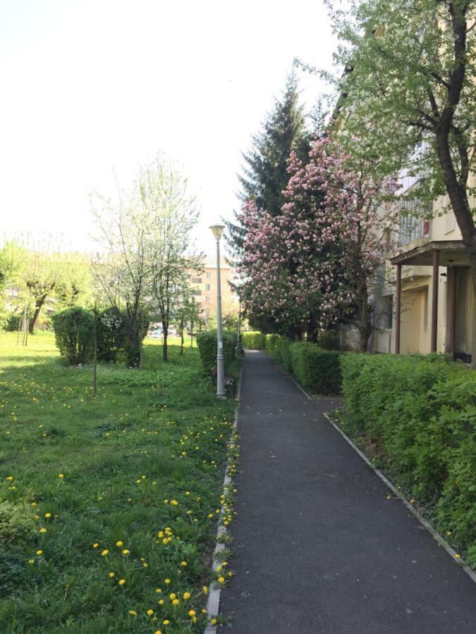 Gold Apartments Baia Mare Luaran gambar